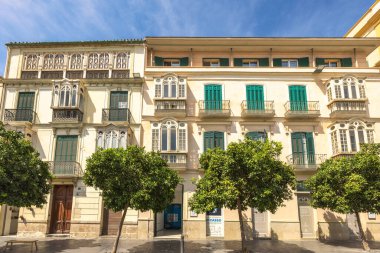 Malaga, İspanya - 12 Eylül 2024: Güneşle sırılsıklam olmuş bir caddeyi çevreleyen yemyeşil ağaçlarla büyüleyici Avrupa mimarisi.