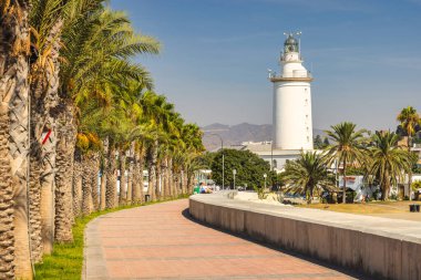Malaga, İspanya - 12 Eylül 2024: Güneşli bir günde fenere giden palmiye ağaçları ile kıyı yolu.