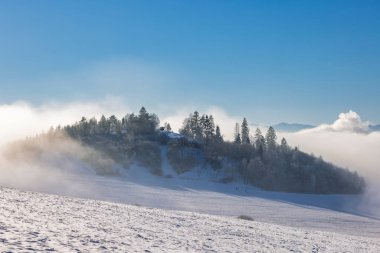 Kış manzarası, karla kaplı tepe ve sisle kaplanmış yeşil ağaçlardan oluşan bir orman. Gökyüzü bulutların üzerinde mavi ve berrak. Huzurlu, soğuk hava manzarası.