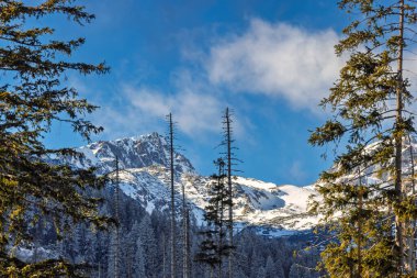 Ormanın arkasında karla kaplı bir dağ. Altını çevreleyen ağaçlar ve ön planda çıplak ağaçlar var. Gökyüzü mavi. Yüksek Tatras Ulusal Parkı, Slovakya, Avrupa.