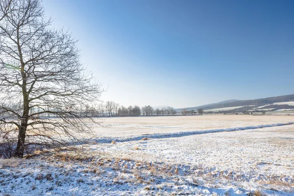 Güneşli bir günde karlı bir ülke. Çek Cumhuriyeti, Avrupa 'da Bölge Pilsen.