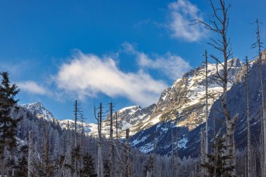 Berrak mavi gökyüzünün altında karla kaplı görkemli dağlar, çıplak ağaçlarla çerçevelenmiş, sakin ve sert bir kış manzarası yaratıyor. Yüksek Tatras Ulusal Parkı, Slovakya, Avrupa.