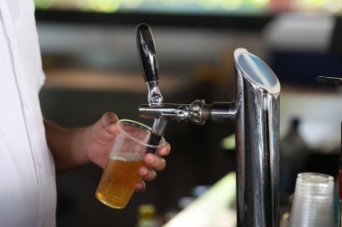 Barmen bardaki bardağa cam döker.