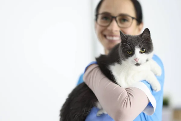 Veterinário sorridente segura gato em seus braços. — Fotografia de Stock