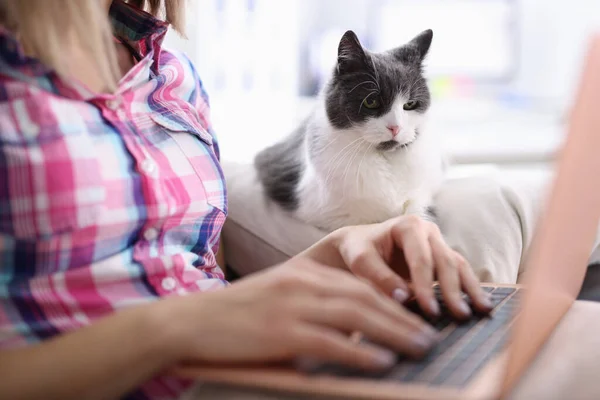 Woman works on laptop next to a cat. — Stock Photo, Image