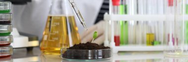 Laboratuvardaki kadın filizlenerek toprağa karışıyor.