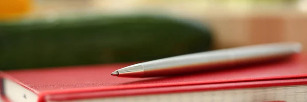Gros plan du stylo argenté qui se trouve sur le copybook — Photo