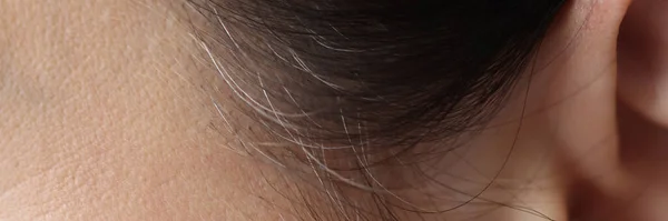 Cabelo preto e cinza em templos de cabeça closeup — Fotografia de Stock