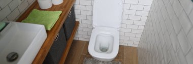 Tuvalet lavabosu, havlusu ve tuvalet kağıdı olan banyo.