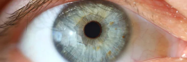 Gros plan sur les yeux et les couleurs bleu pupille mâle en bonne santé — Photo