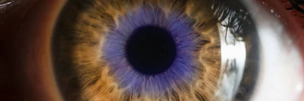 Nahaufnahme eines menschlichen Auges — Stockfoto