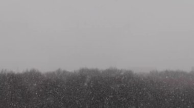 Şiddetli kar fırtınası Park 4K filminde.