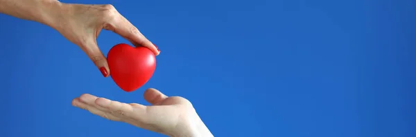 Female hand give red heart to male hand on blue background close-up.