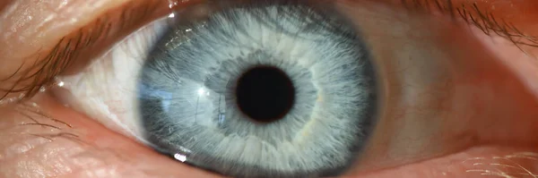 Blue human eye with black pupil closeup.