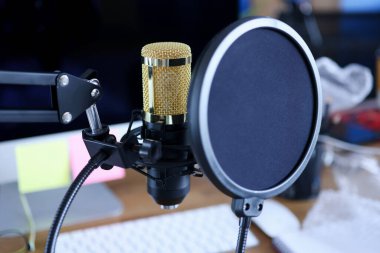 Kayıt stüdyosunda ekranı olan stüdyo mikrofonu.