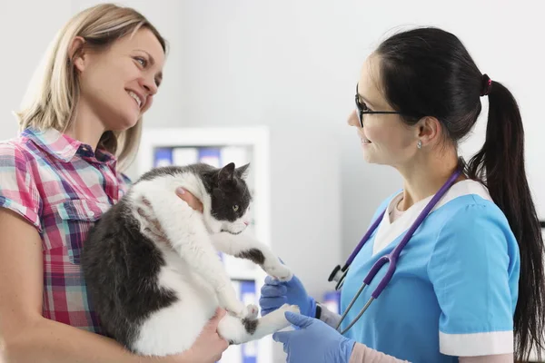 Mulher segurando gato na frente do veterinário na clínica — Fotografia de Stock