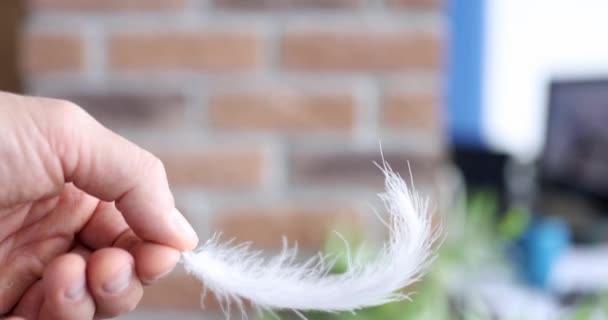 Mužská ruka házení pták peří v lázeňském salonu 4k filmu — Stock video