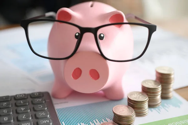Pink pig piggy bank in glasses near business charts and coins