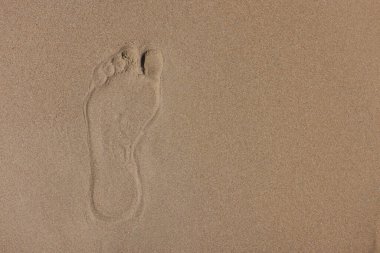 Islak kumda insan ayak izi. İlginç seyahatler için turlar arayın