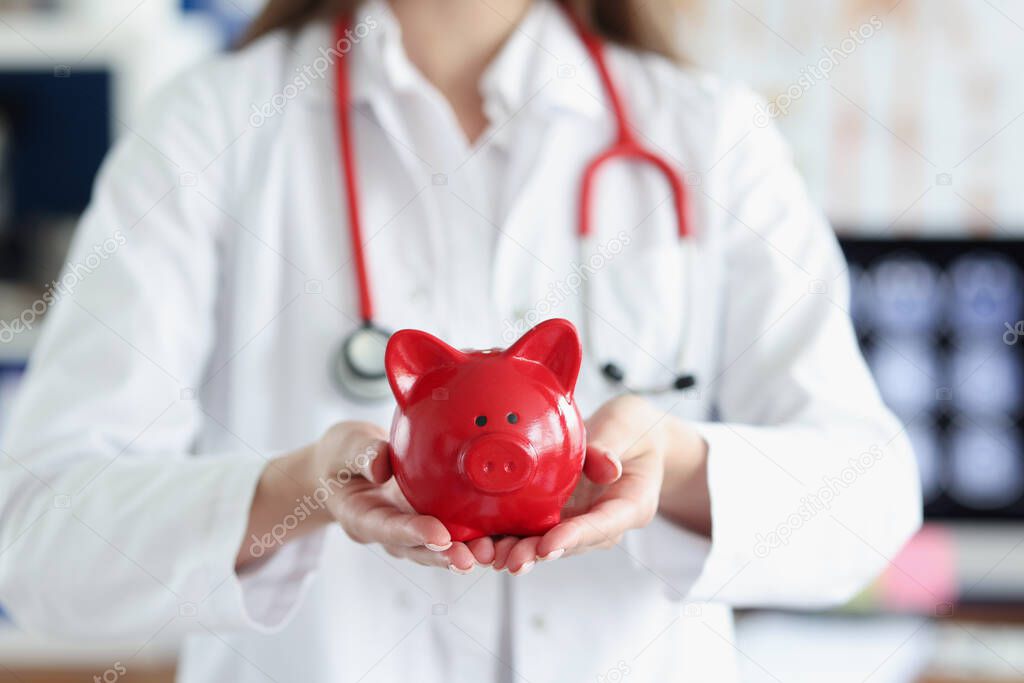 Doctor holds piggy bank red pig in his hands