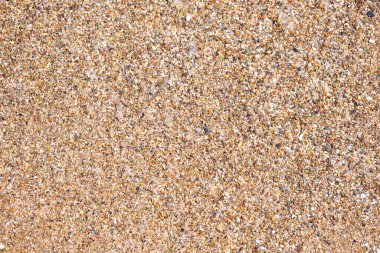 Sahilde taş ve kum dokusu