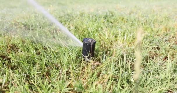 Vatten rinner ut på gräs från automatisk gräsmatta bevattningssystem 4k film — Stockvideo