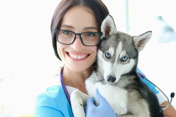 Femme vétérinaire tenant chien aux yeux bleus sur fond de clinique pour animaux de compagnie — Photo