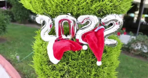 Aufblasbare Figuren mit roten Weihnachtsmannhüten wiegen auf grünem Thuja-Film — Stockvideo