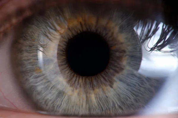 Ojo gris-verde femenino para examen médico de cerca — Foto de Stock