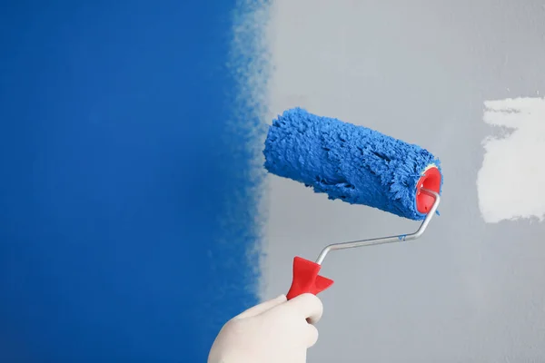 Master painter painting wall with roller blue closeup