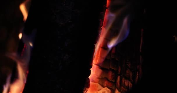 Burning smoldering wood and coals in fireplace 4k movie — Vídeos de Stock