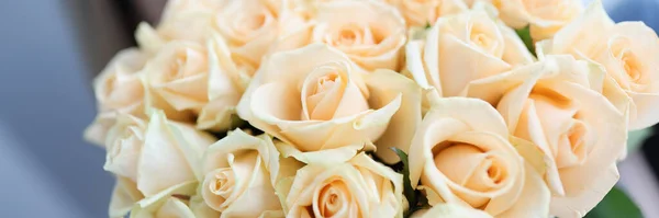 Nő kezében nagy, gyönyörű csokor fehér rózsa közelkép — Stock Fotó