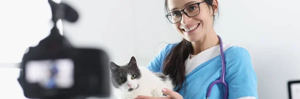 Smiling veterinarian doctor demonstrates cat to camera