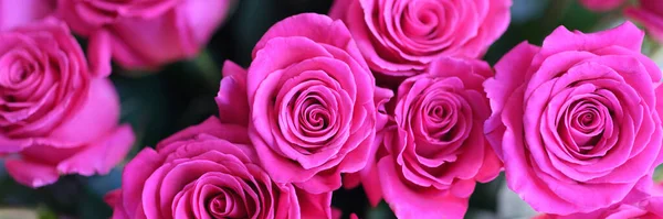 Красивый абстрактный дизайн шаблон с розовым букетом роз — стоковое фото