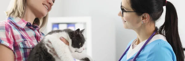 Mulher segurando gato na frente do veterinário na clínica — Fotografia de Stock