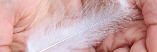 Man has white fluffy feather in his hand — Stock Photo, Image
