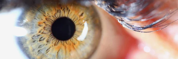 Closeup of beautiful green eye of young girl — Stock Photo, Image