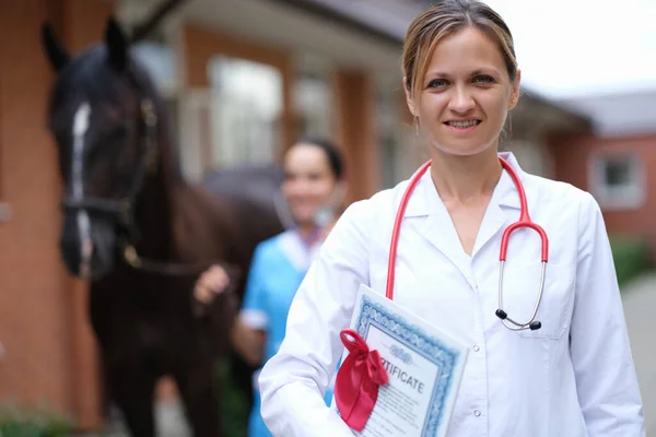 Veterinären genomför medicinsk undersökning av häst närbild — Stockfoto