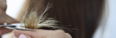 Kuaför makasıyla saç uçlarını düzleştirir.