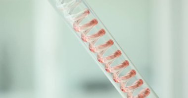 Parlak kırmızı sıvı, şeffaf test tüpünün içindeki sarmal desende yavaşça aşağıya doğru akar. Sıvı madde yoğunlaştırıcı bobinin uzunluğu boyunca sarmal yapar