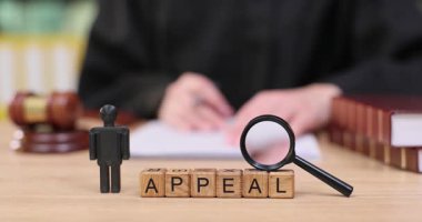 Bir mahkeme salonunda, bir hakim APPEAL 'i heceleyen bir büyüteç tutan bir figüre odaklanırken, temyiz sürecini ve ayrıntılara dikkat etmeyi simgeleyen bir yazı yazarken görülüyor..