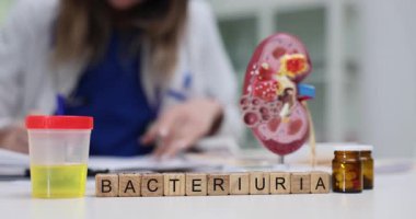 Tahta bloklar idrar örneği kabının yanında Bakteriurya kelimesini heceler. Kadın doktor, masadaki bakteri bulgularını değerlendiren böbrek modeli üzerinde çalışıyor.