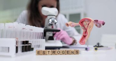 Tahta bloklar, rahim modeli ve kan tüpleri arasındaki östrojen kelimelerini heceler. Laboratuvar çalışanı östrojen seviyesini ölçmek için mikroskop altında kayar.