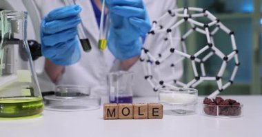 Laboratuvar çalışanı molekül modeliyle masada oturur ve reaktif sıvılarla test tüpleri tutar. Ahşap küpleri oluşturan Köstebek Masaya düzgünce yerleştirilmiş