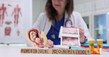 Tahta bloklar hamile rahim modelinin yanında Rhesus Conflict kelimeleriyle yazılır. Kadın doktor kan grubu riskini açıklarken ultrason görüntüsünü inceliyor.