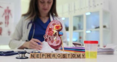 Tahta bloklar kelime Nephrostomy yakın böbrek modeli ve kaba idrar örneği. Kadın doktor cerrahi drenaj ihtiyacını değerlendiriyor.