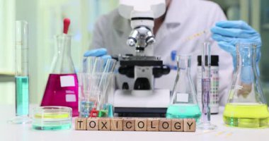 Laboratuar teknisyeni mikroskoba eğiliyor ve hazırlanmış slayt üzerinde çalışıyor. Parlak sıvılarla dolu test tüplerinin yakınına yerleştirilmiş kelime toksikolojisi oluşturan bloklar