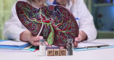 Kadın doktor derste anatomik modeli kullanarak karaciğer patolojisini açıklıyor. Ahşap bloklar kısaltma PBC çarenin yanında yer alır.