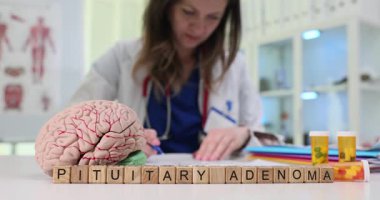 Tahta bloklar, beyin modelinden hipofiz tümörü kelimelerini heceler. Kadın doktor, klinikteki hasta için hormon tümörü riskini açıklarken tarama sonuçlarını da okuyor.