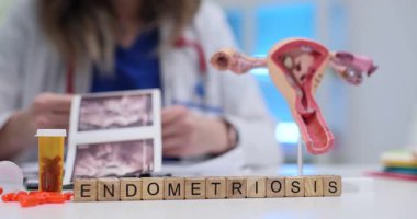 Tahta bloklar, rahim modelinin önündeki kelime Endometriyozis 'i heceliyor. Kadın jinekolog, pelvik ağrı terapisini tartışan ultrason görüntüleri üzerinde çalışıyor.